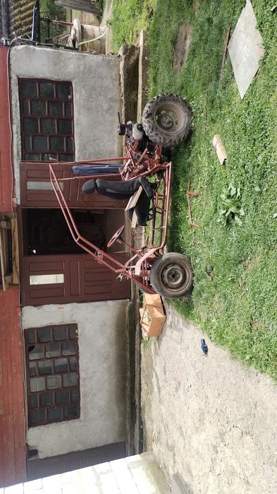 Vand sau schimb buggy