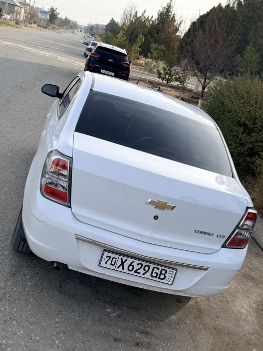 Cobalt Midnight 2025