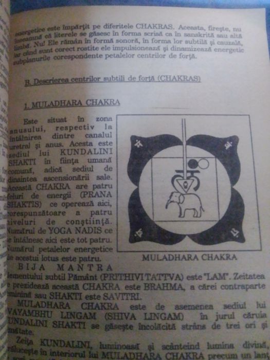 Kundalini Shakti carte veche