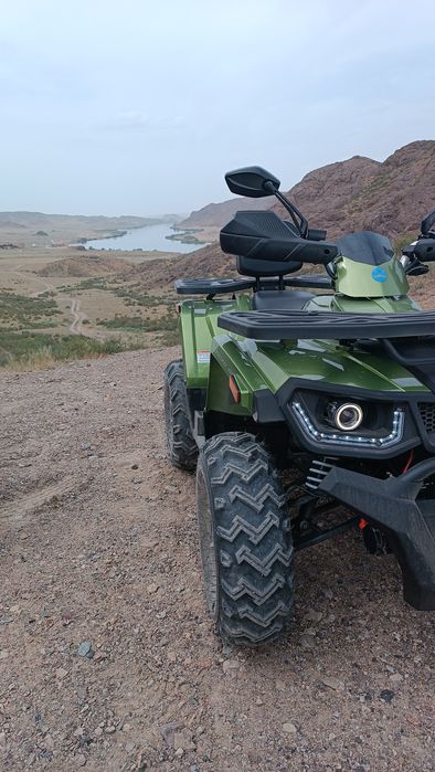 Квадроцикл Honda Linko 250