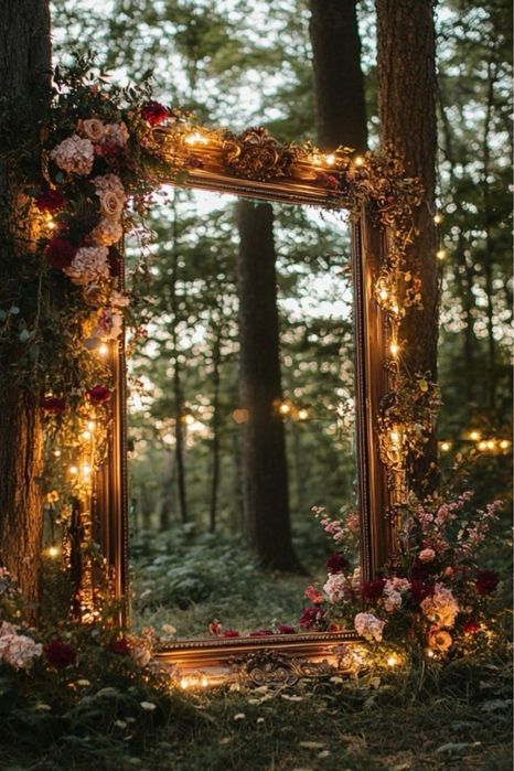 Pădure Pin Roșu | Geoparcul UNESCO Ținutul Buzăului