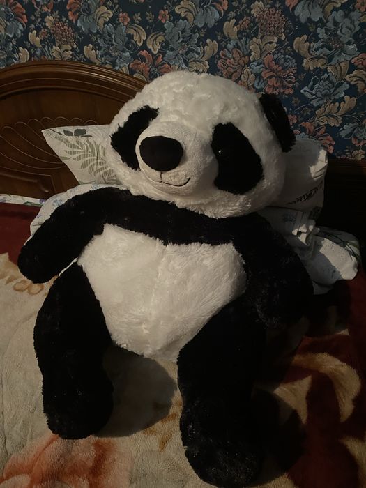 продам мишук.