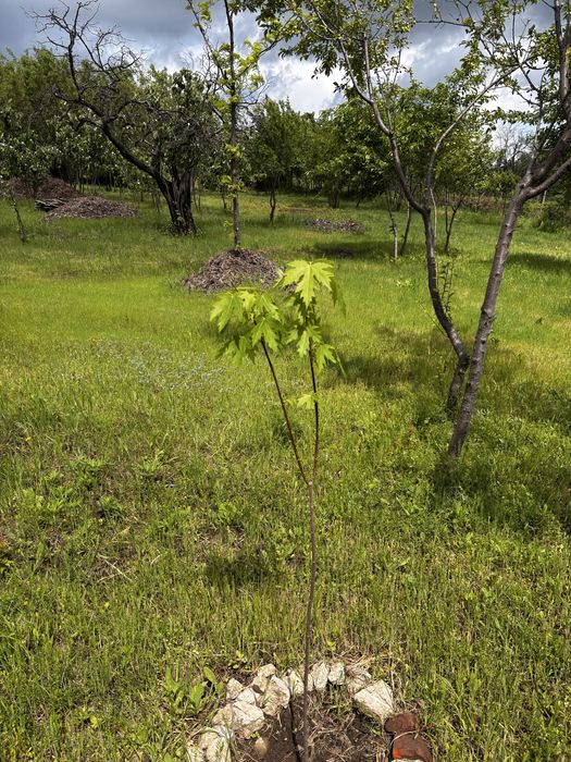 Titlu: Teren intravilan 1.700 mp + extravilan 17.800 mp – Valea Călugărească