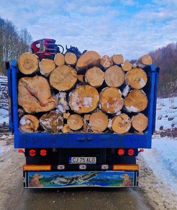 Lemn fag foc transport