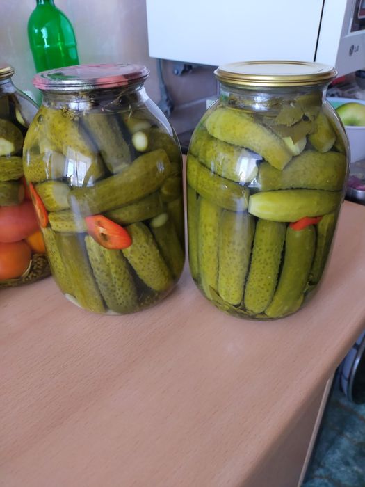 Продам соленье .
