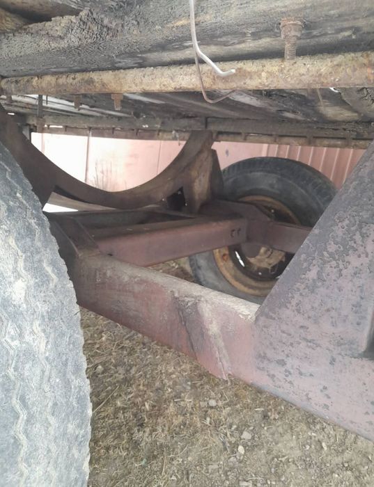 Vand sau schimb cu oi