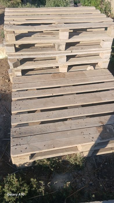 Паддон штука по 1000тг