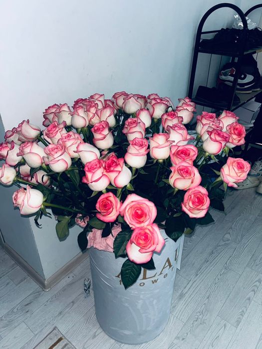 Срочноооо! Гигант розы 51штукк