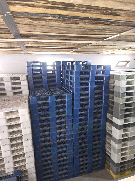 Пластиковые поддоны Поддон Паллеты Paddon plastmassa Poddon