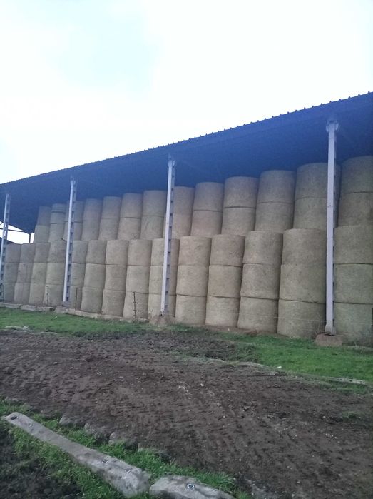 Продавам рулонни бали сено Детелина и Еспарзета