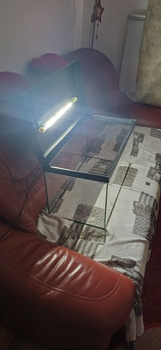 Acvariu 54 litri cu Led,300 lei neg.!