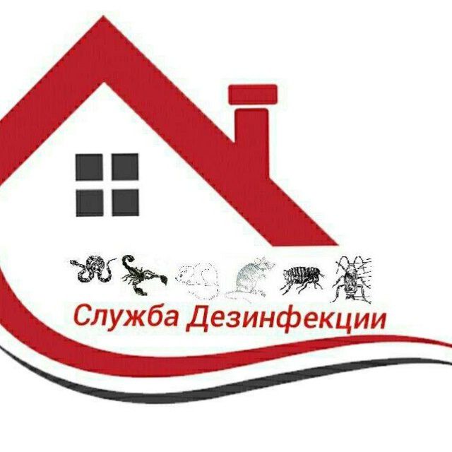 Уничтожение змей и дезинфекция