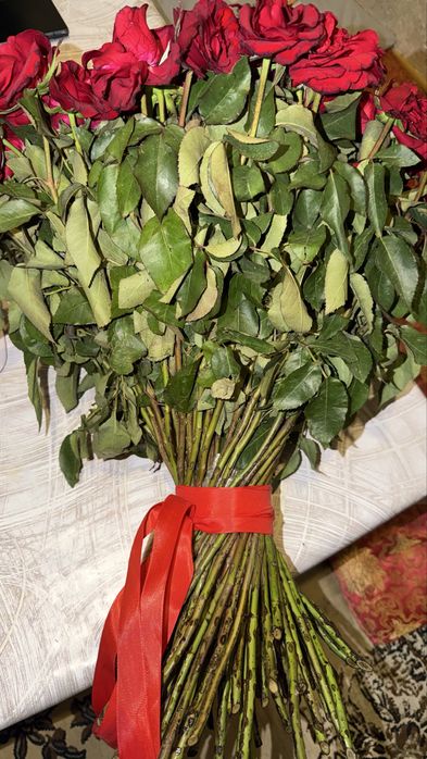 Продам Цветы 101