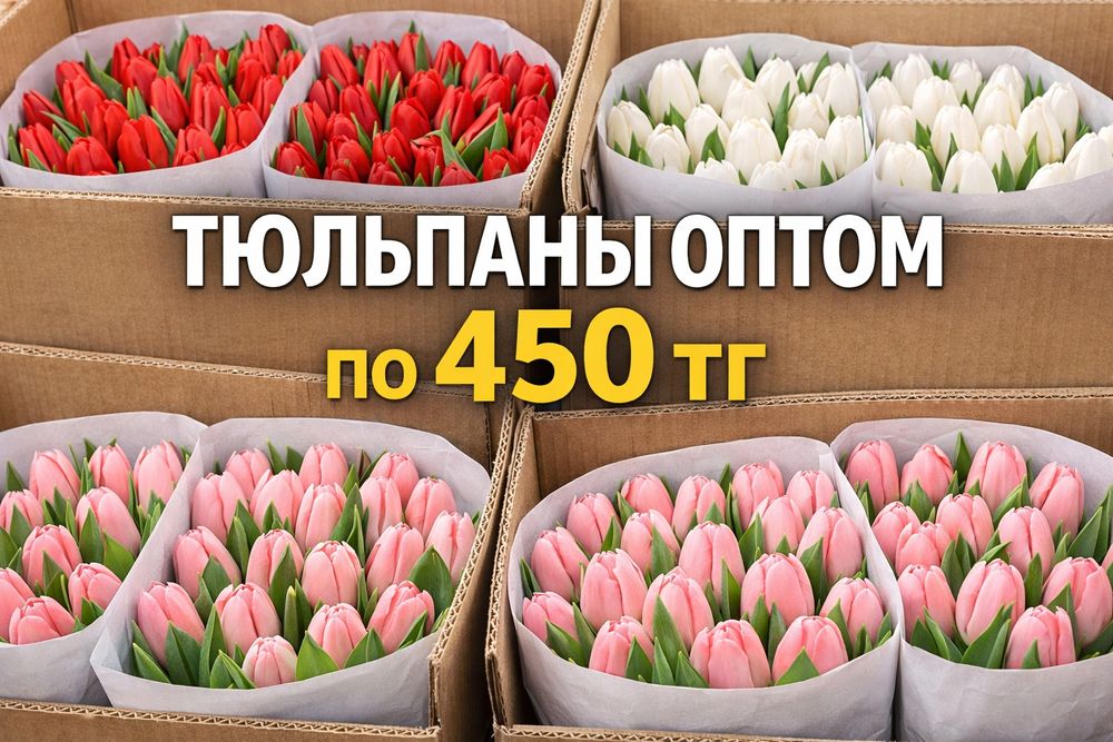 Свежие тюльпаны оптом 450 тг шт