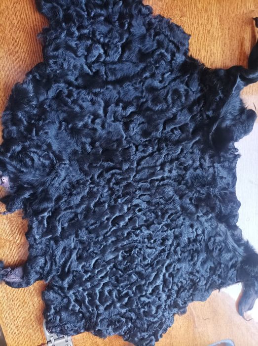 Шкурки  Каракуль