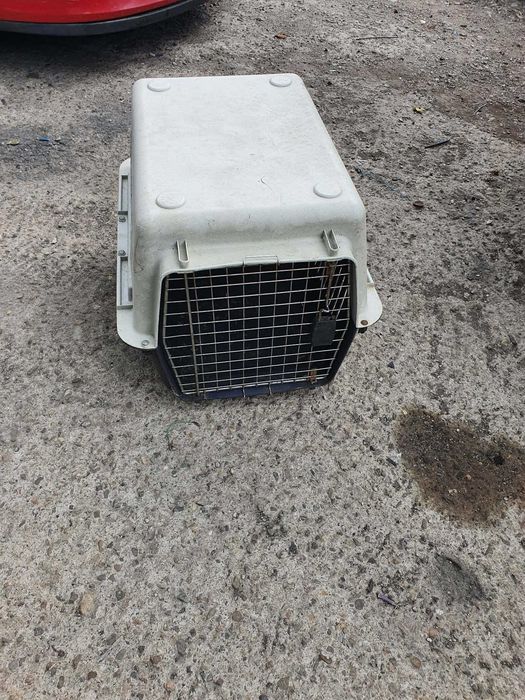 Cusca transport animale