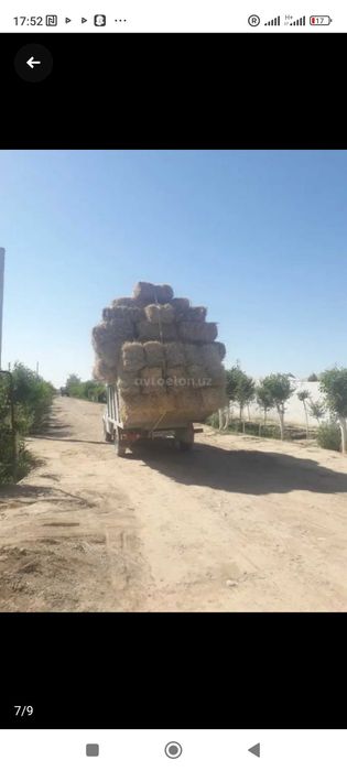 Форд транзит холати зор ходовой бакуват  пул керак шу учун сотаман!