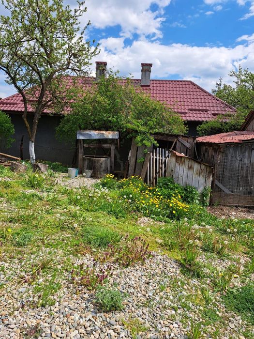 Casă cu teren 2.200 mp și anexe gospodărești – Stupini, Sânmihaiu de Câmpie, Bistrița-Năsăud