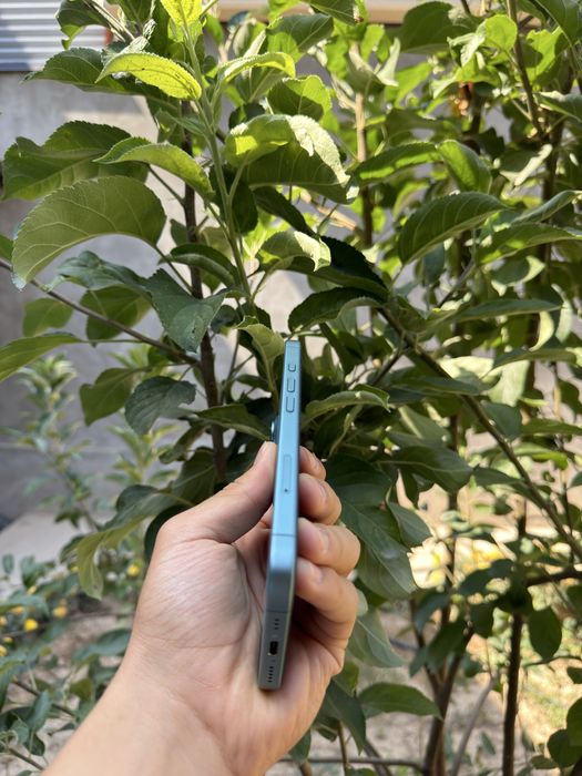 Iphone 16 ozi sotiladi