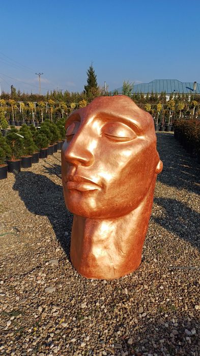 Tot pentru gradina ta