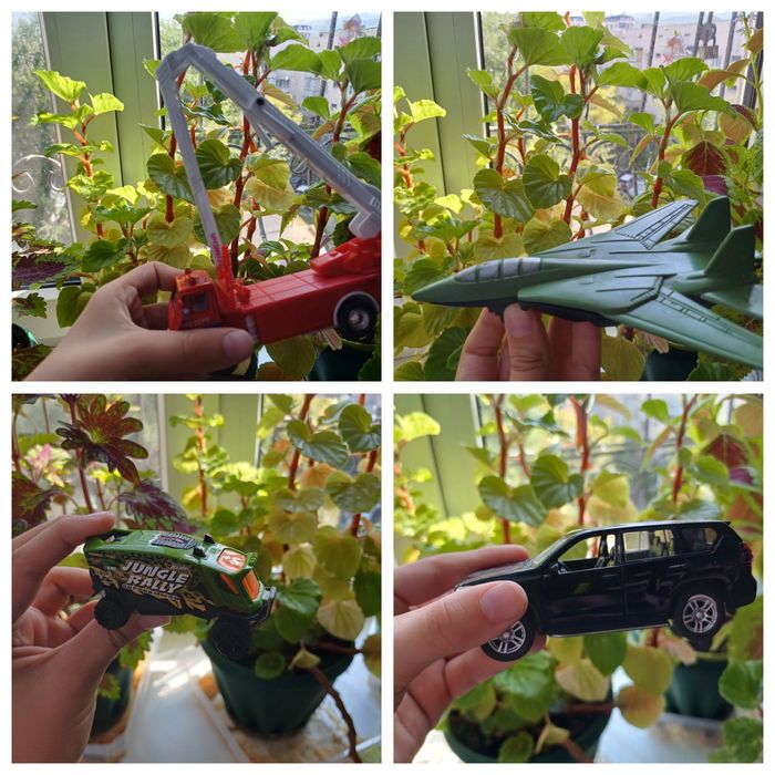 Здравствуйте  продаю  машинки. У меня все машинки минимум 2020 года. Н