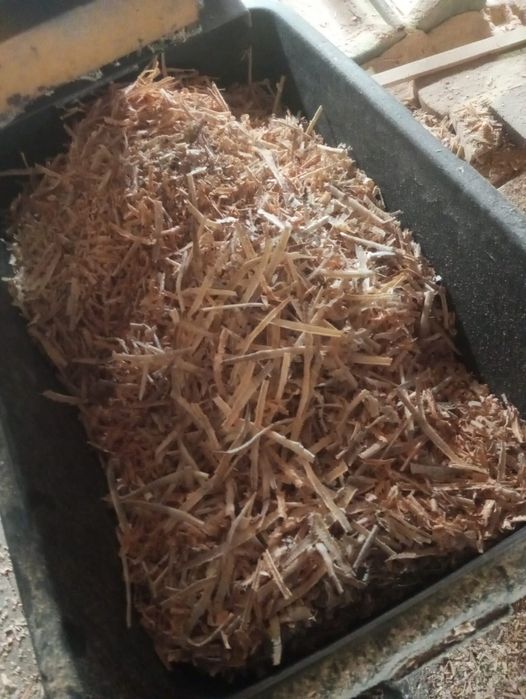 Штакетник из дерева