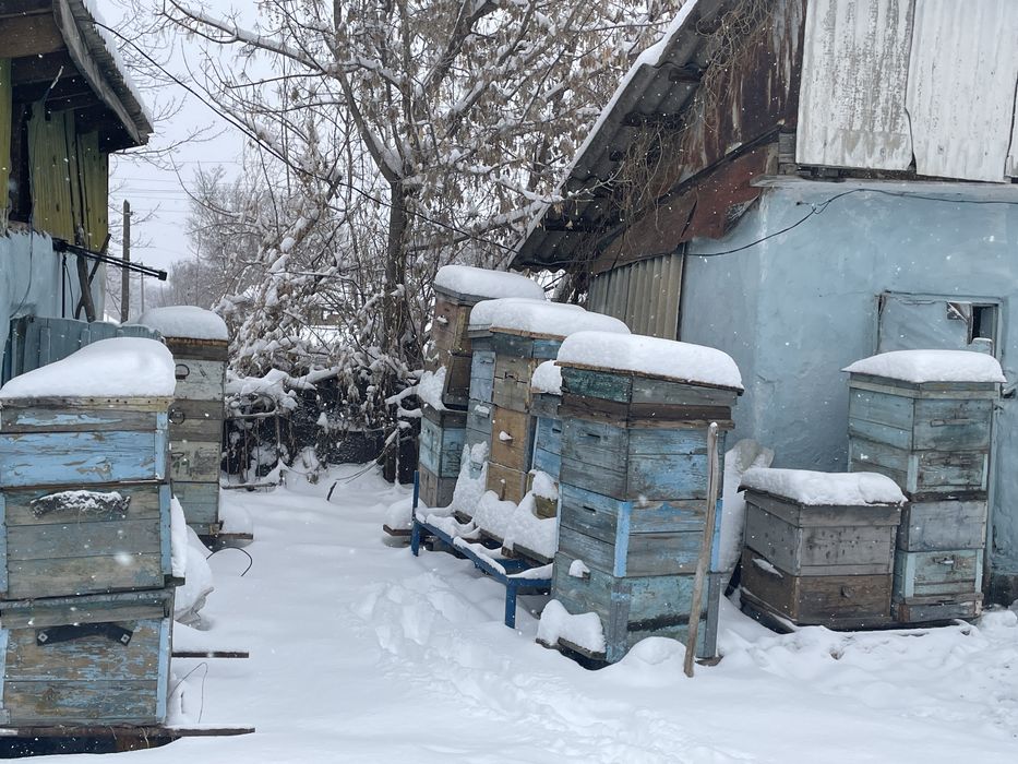 Продам улики в комплекте