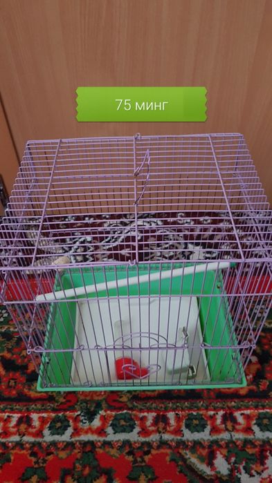 Клетки для птиц домашних
