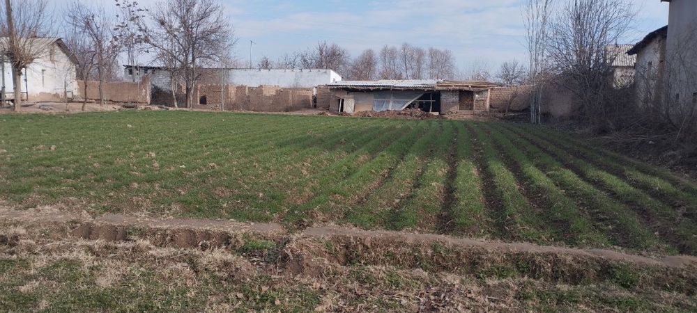 Ер сотилади жой жуда яхши бир сотги 15 милон сумдан