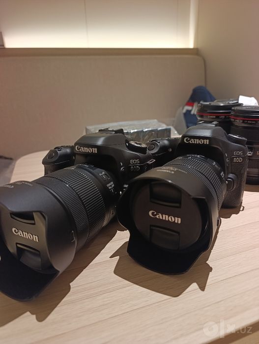 Canon EOS 80D+18-135 USM NANO