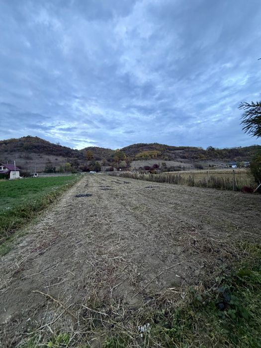 Teren intravilan