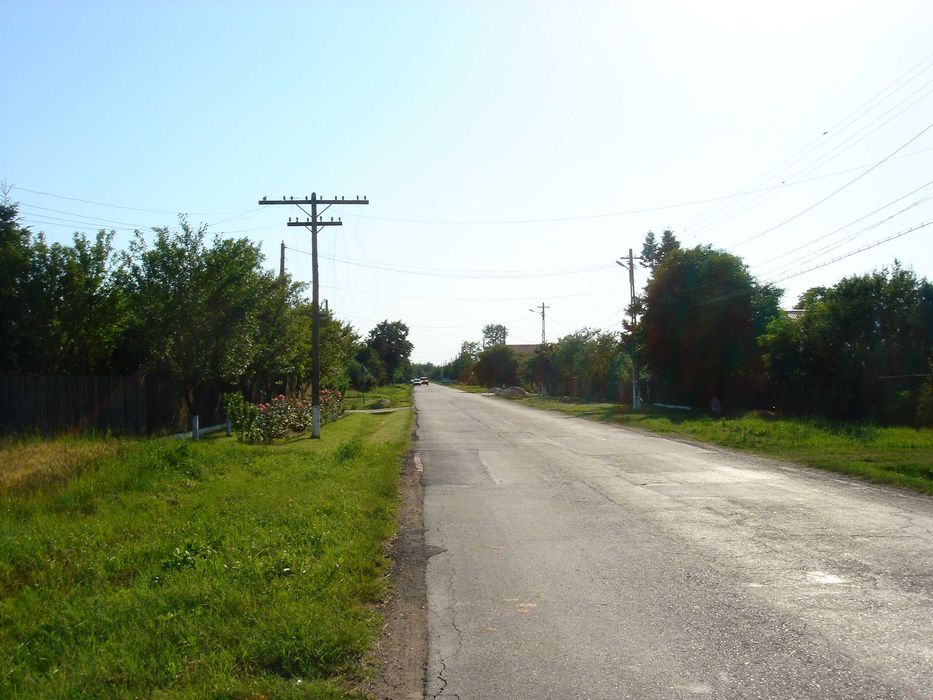 Vand teren padure, Ciolpani