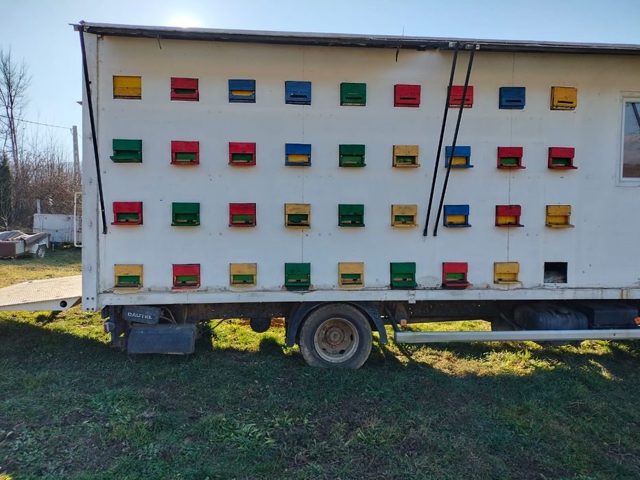 Vand familii de albine