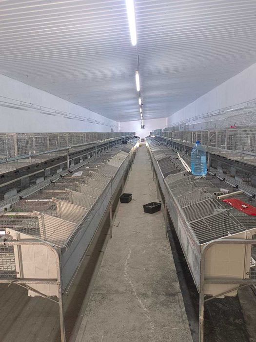 Клетки для кроликов "Клетка маточная-двухэтажная КМ-2" куён кафаслари