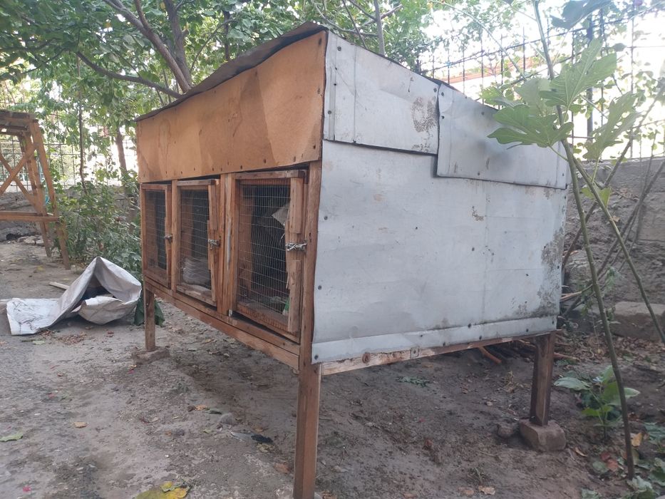 Quyon katag sotiladi.