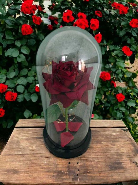 Красива осветена роза в стъкленица с красива подаръчна кутия