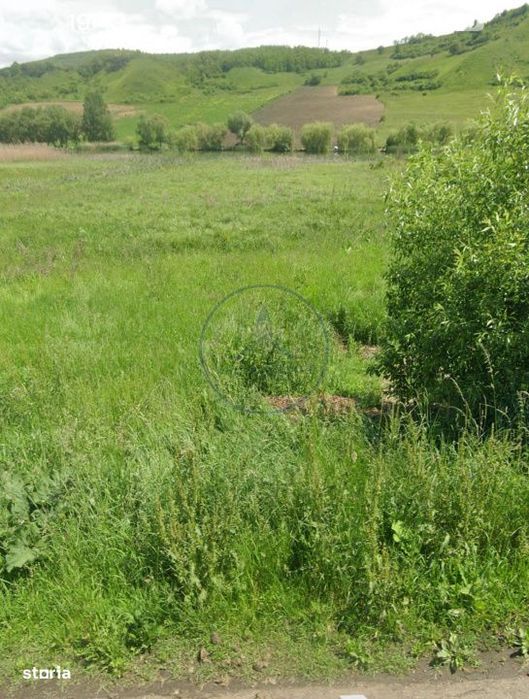 Teren extravilan de vanzare – Brateni acces la Lac