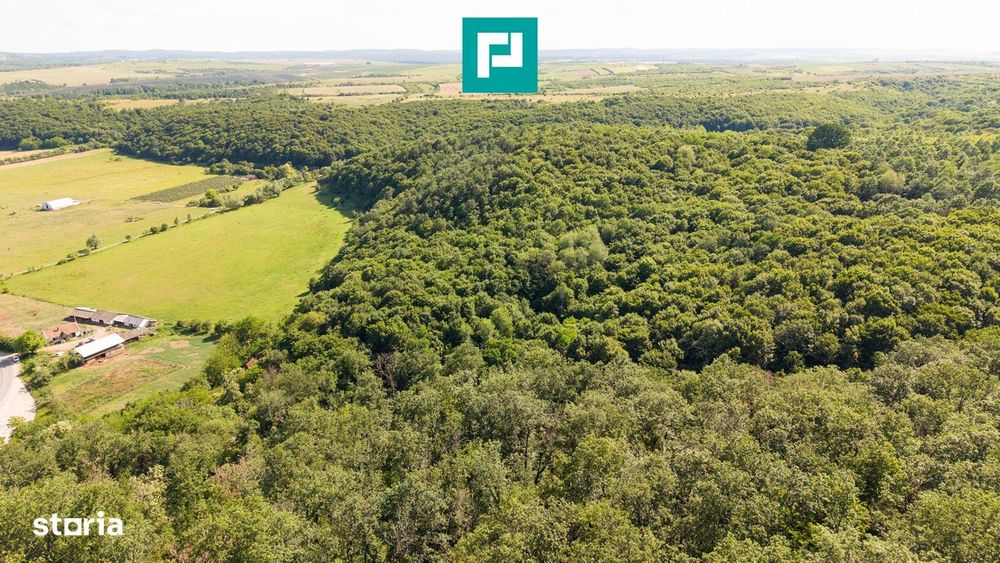 Teren Agricol Extravilan  22.900 Mp Lipova