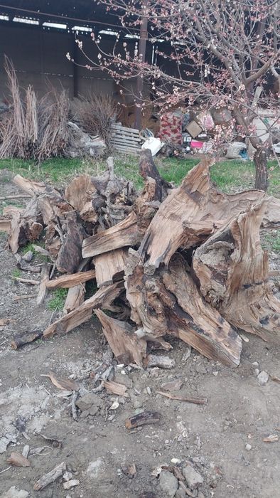 Дрова сухие Утин