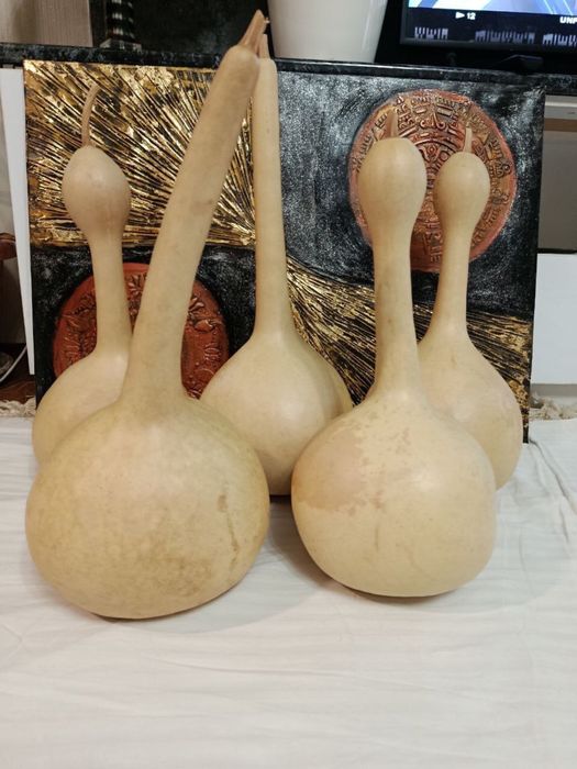 Декоративные тыквы