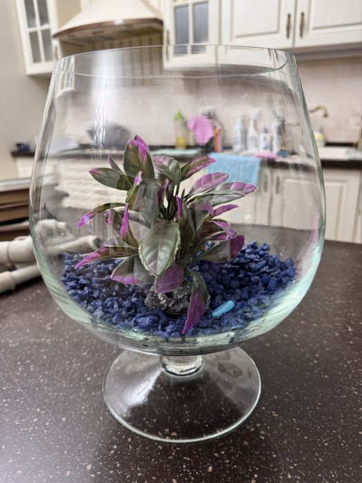 Аквариум для рыбок