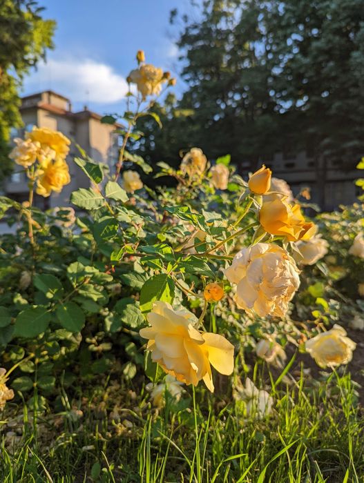 Голям апартамент с гараж