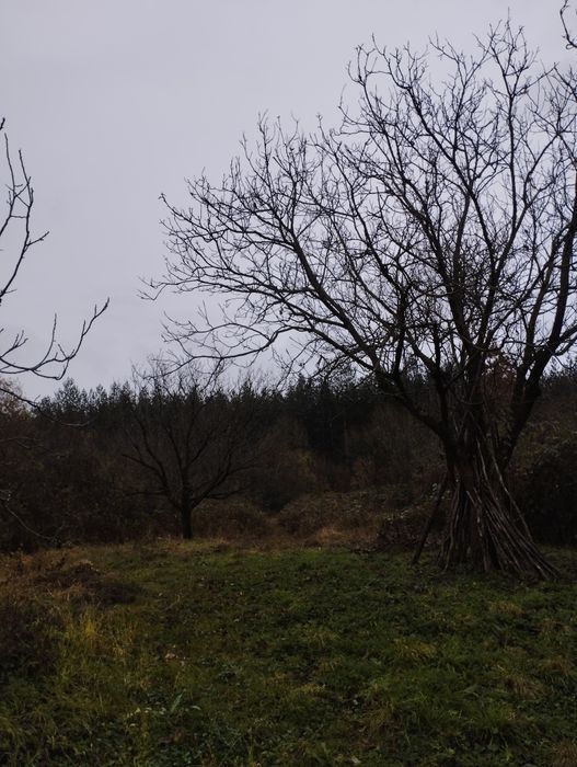 Продавам УПИ село Черкаски