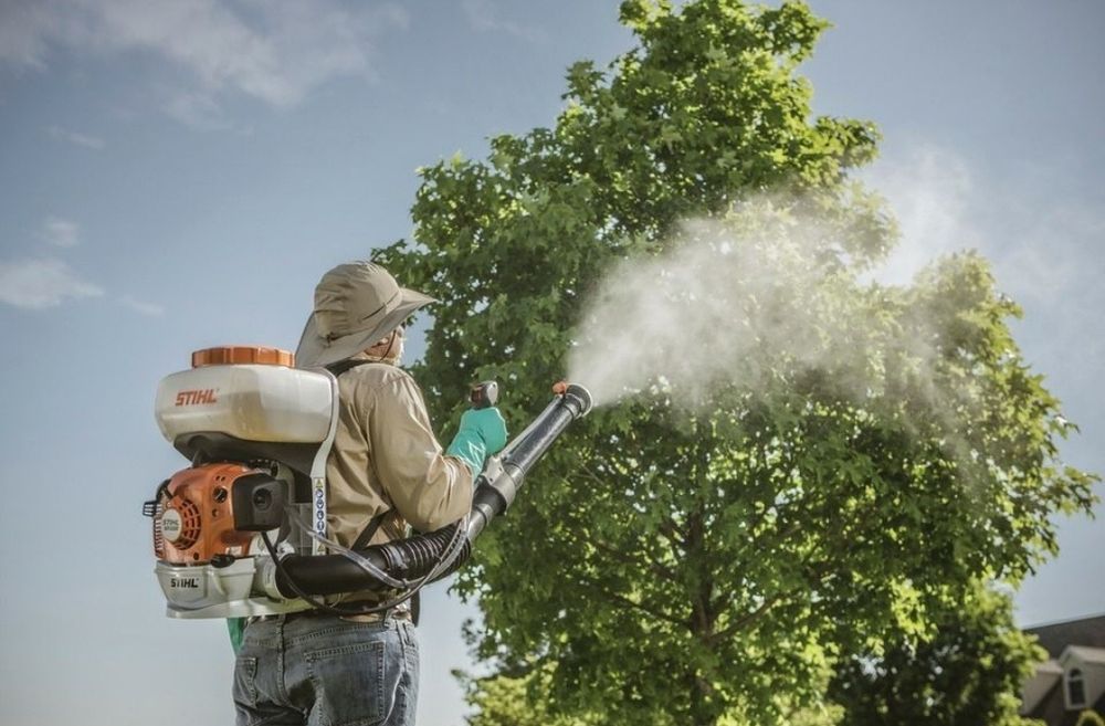 Uzumlarni xomtok qilaman