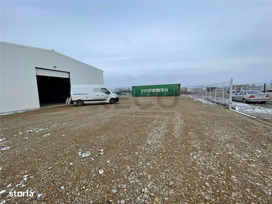 RECO hala cu teren in Osorhei