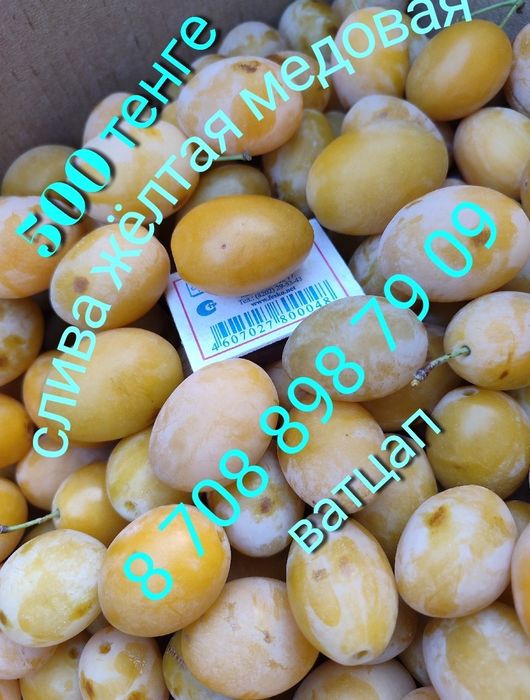 Слива жёлтая медовая, слива синяя, помидоры, огурцы, кабачки, тыква,