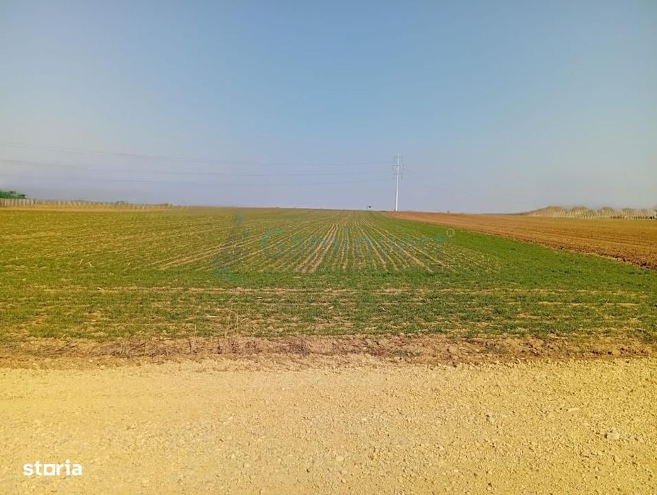 Teren in Biharia cu o suprafata de 20000 mp intravilan,Gaminvest V4214