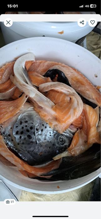 Суп набор (сёмга)