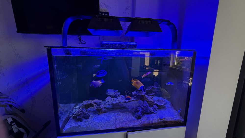 Соленоводен ( морски ) аквариум Red Sea Reefer 300 G3 XL