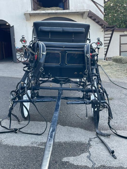 Vând trasura evenimente